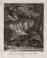 KG 01077
          <br/>
          Entwurf einiger Thiere. Fünfter Theil. (18 bladen)
          <br/>
          <em>Ridinger, Johann Elias (1698-1767)</em>